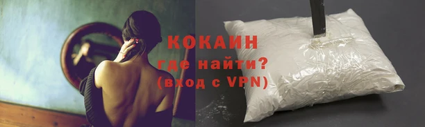 молекула духа Весьегонск