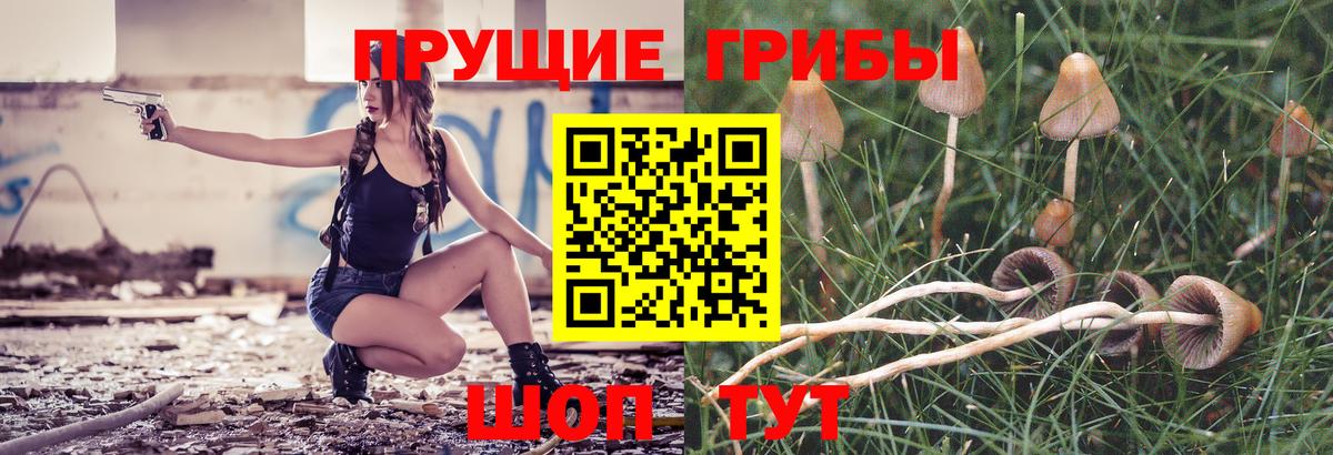 Галлюциногенные грибы GOLDEN TEACHER Анжеро-Судженск