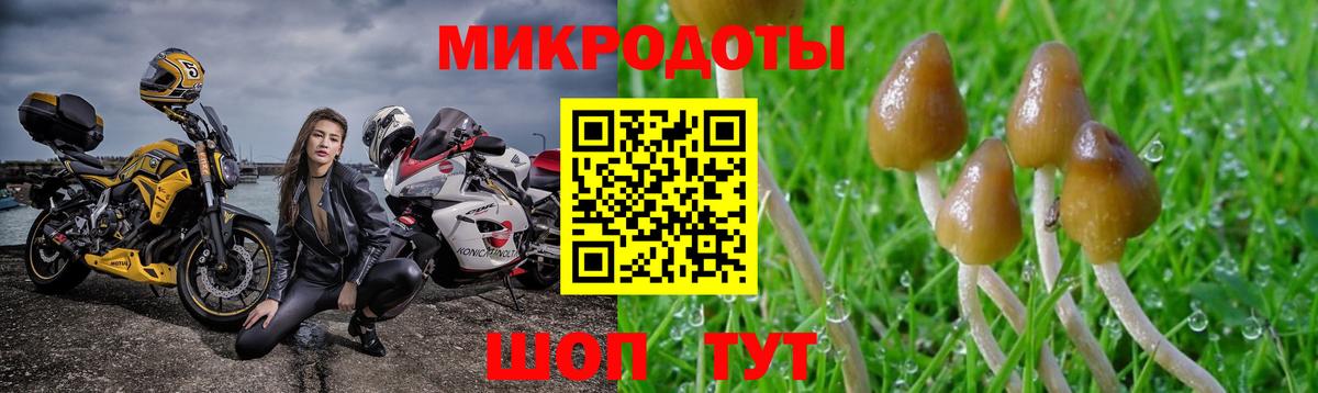 Анжеро-Судженск  купить наркотики сайты  Вход с VPN  Псилоцибиновые грибы MAGIC MUSHROOMS 