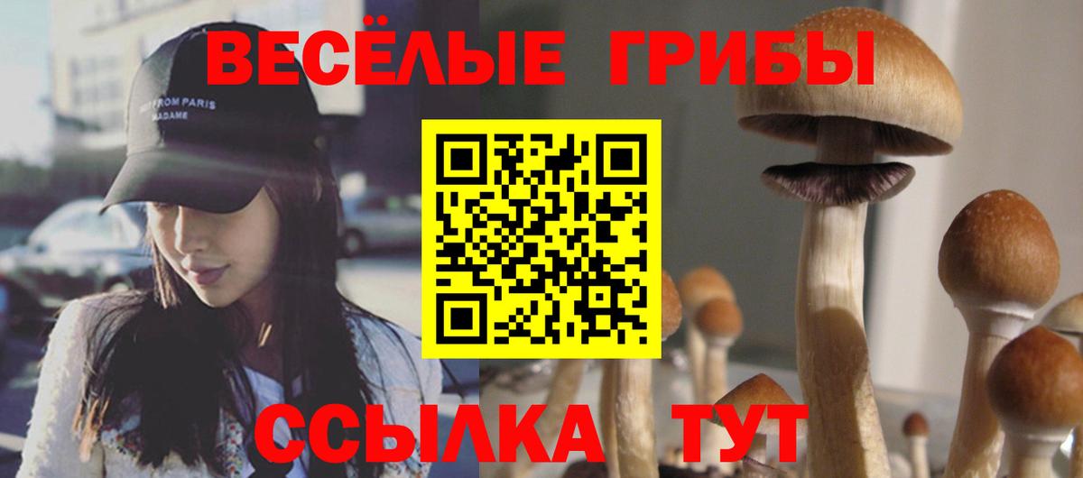 Псилоцибиновые грибы Psilocybe  Галлюциногенные грибы ЛСД  Анжеро-Судженск 